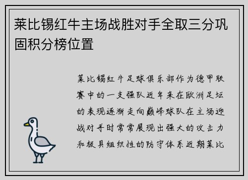 莱比锡红牛主场战胜对手全取三分巩固积分榜位置